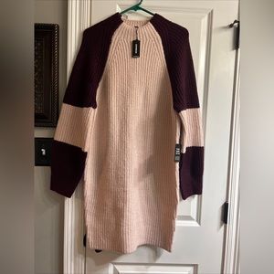 Express Sweater Dress
